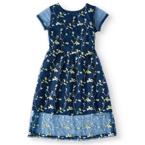 EmbroideredMesh Dress LittleGirls,BigGirls,BigPlus